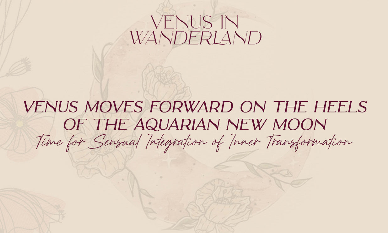 Venus in Wanderland - Jan 28 2022