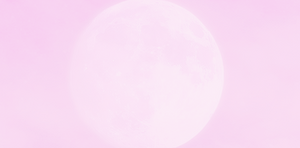Venus in Wanderland:  Yoni Ritual for Full Moon in Aquarious