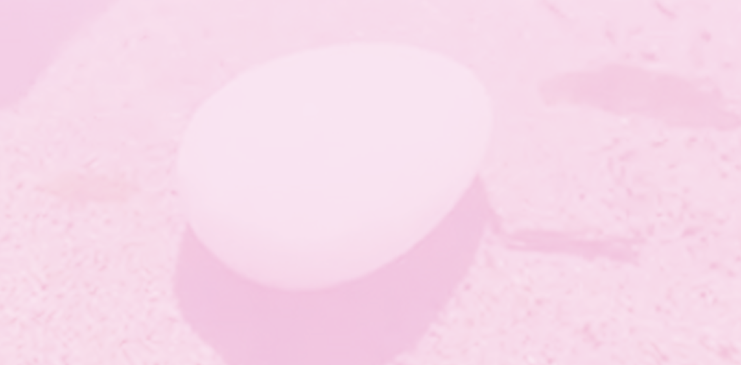Venus in Wanderland: Libra New Moon activation embodiment ritual
