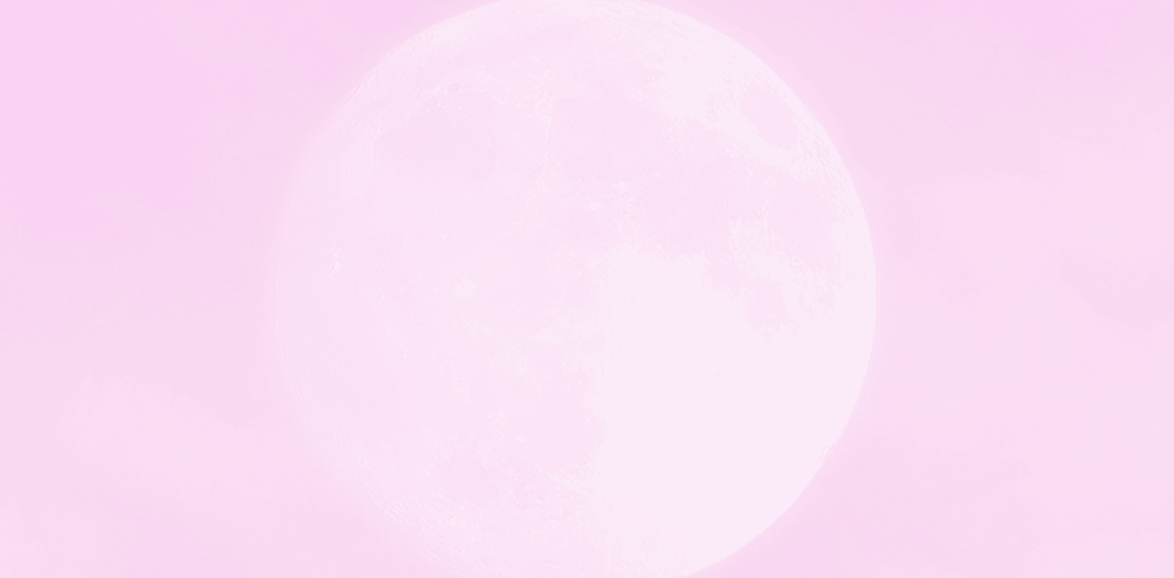 Venus in Wanderland: Aries Full Moon Embodiment Ritual to Awaken your Inner Feline - Yoni Wanderland