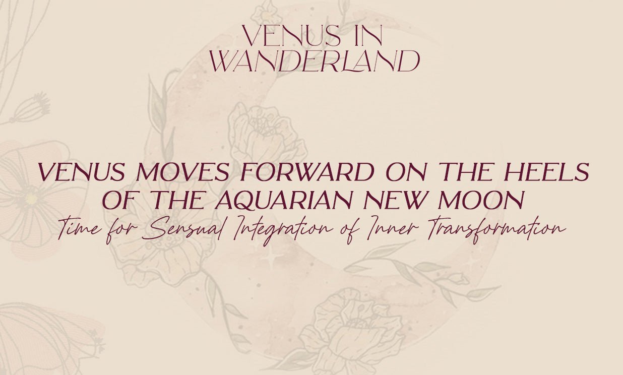 Venus in Wanderland - Jan 28 2022 - Yoni Wanderland