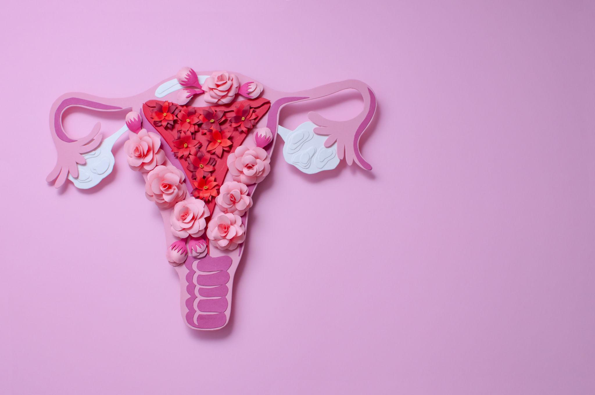 What Is Yoni Mapping? A Complete Guide to Internal Vaginal Mapping and De-Armoring - Yoni Wanderland